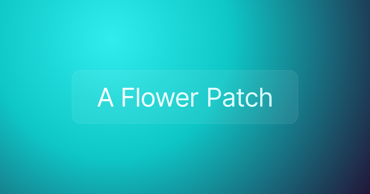 A Flower Patch