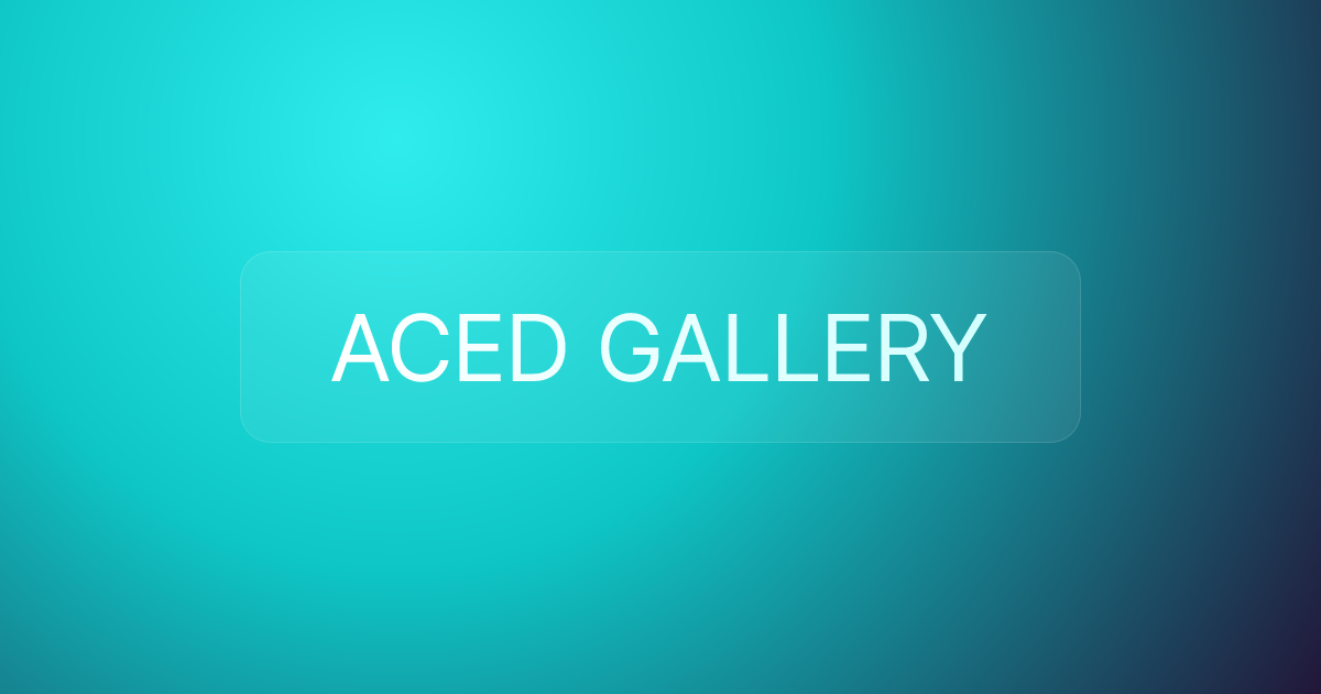 ACED GALLERY