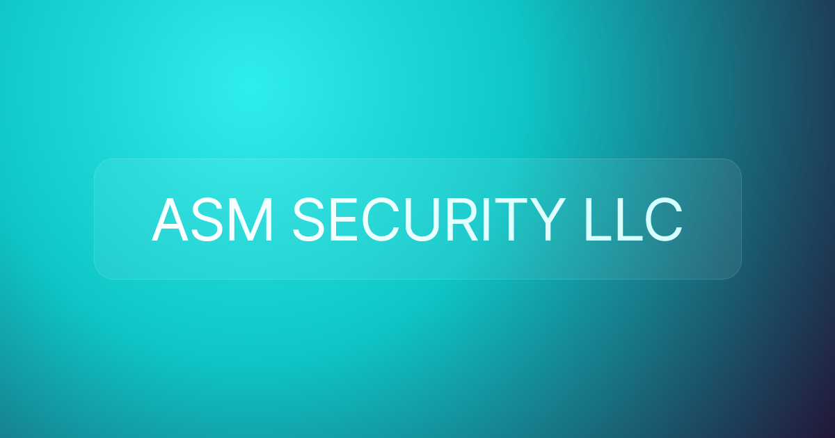 ASM SECURITY LLC