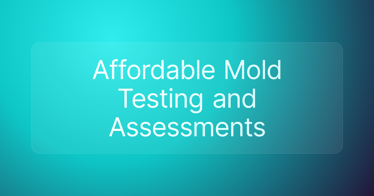 Affordable Mold Testing and Assessments