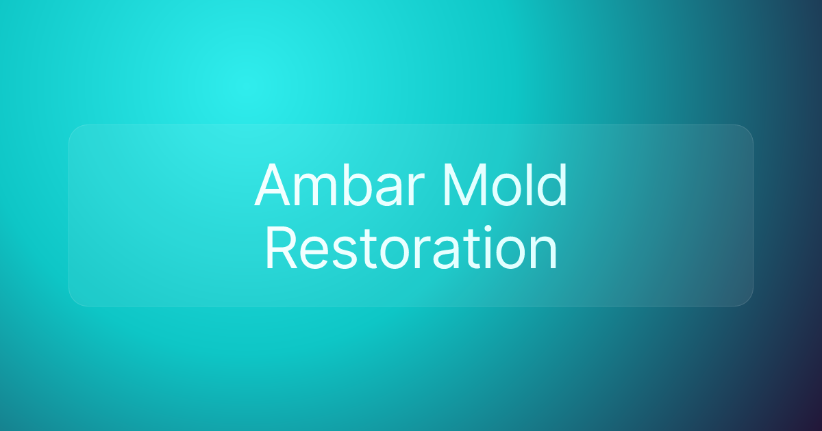 Ambar Mold Restoration