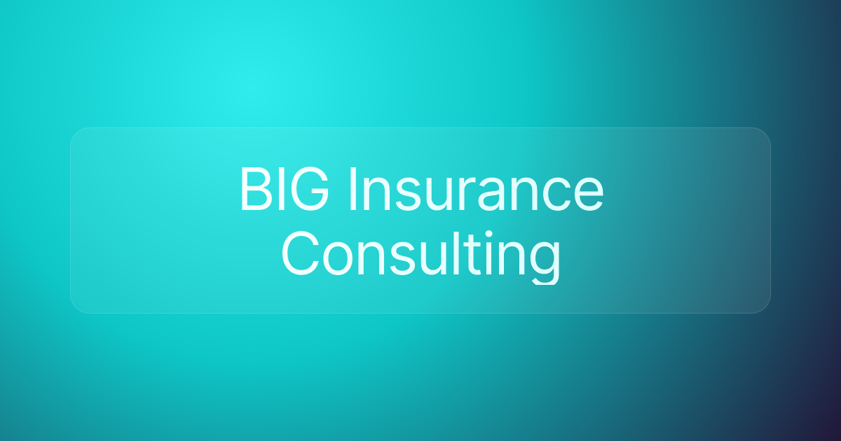 BIG Insurance Consulting