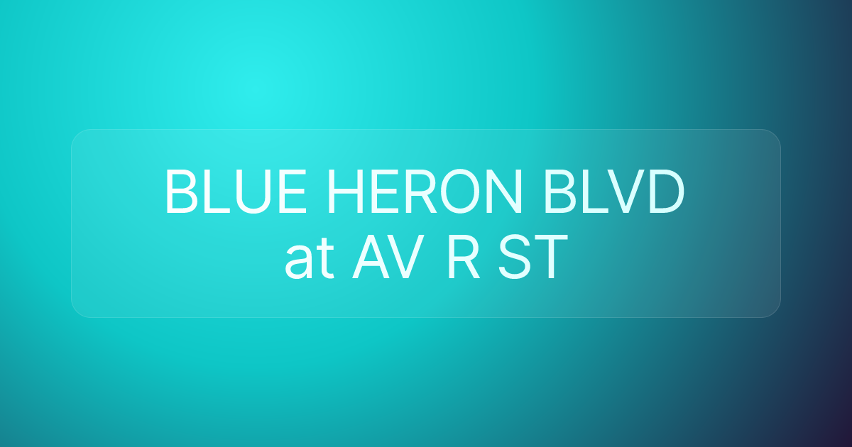 BLUE HERON BLVD at AV R ST