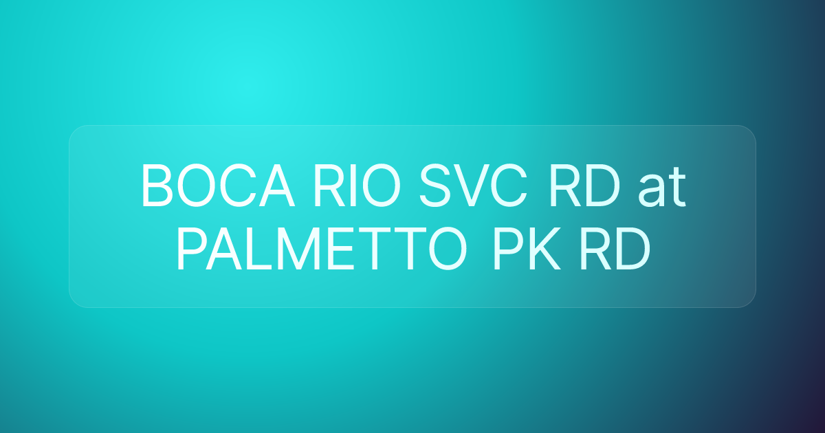 BOCA RIO SVC RD at PALMETTO PK RD
