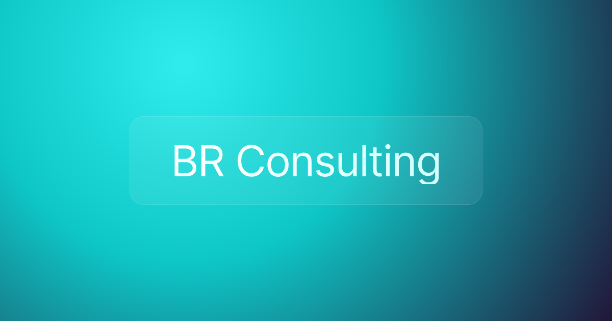 BR Consulting