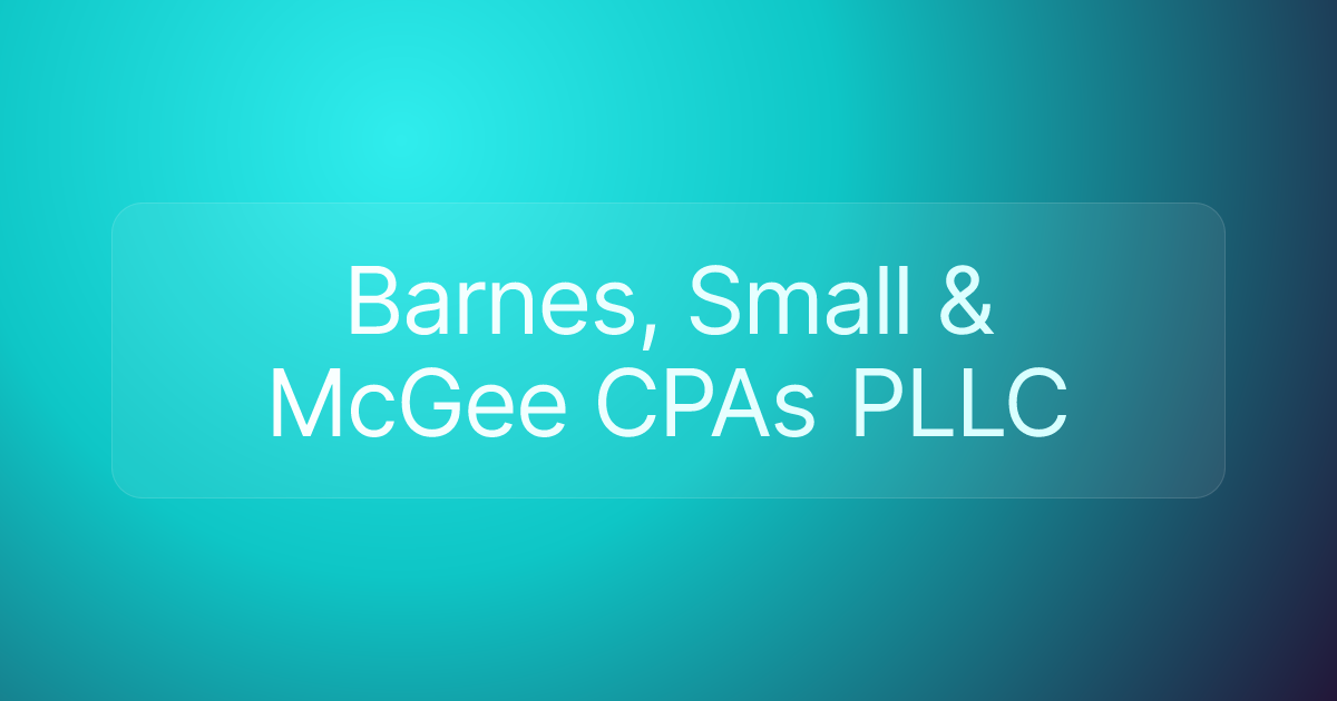 Barnes, Small & McGee CPAs PLLC