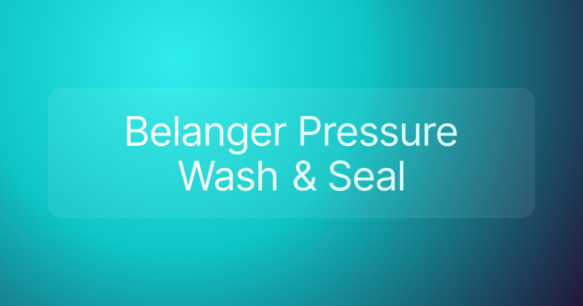 Belanger Pressure Wash & Seal