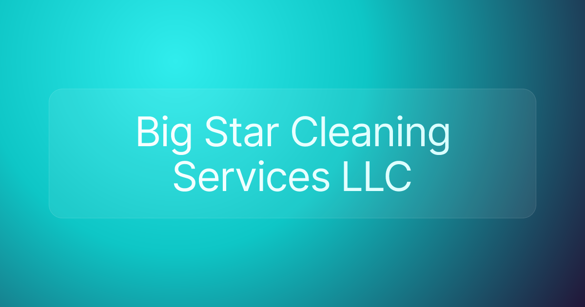 Big Star Cleaning Services LLC