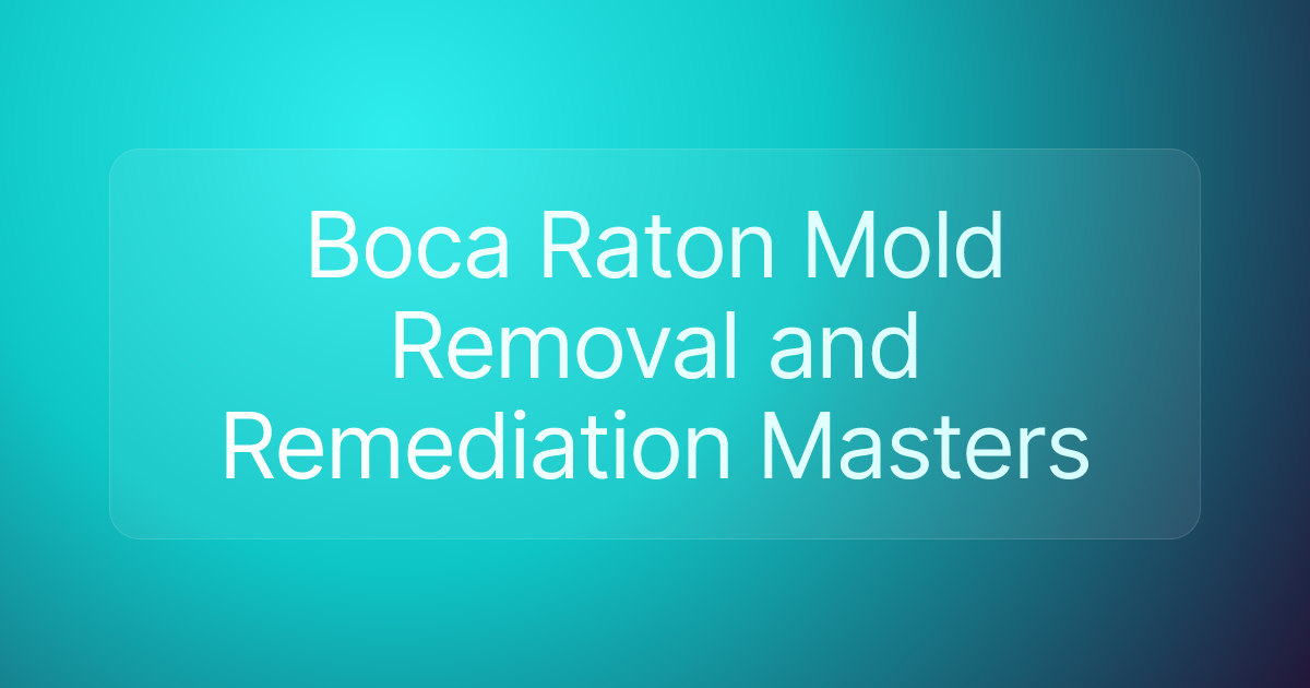 Boca Raton Mold Removal and Remediation Masters