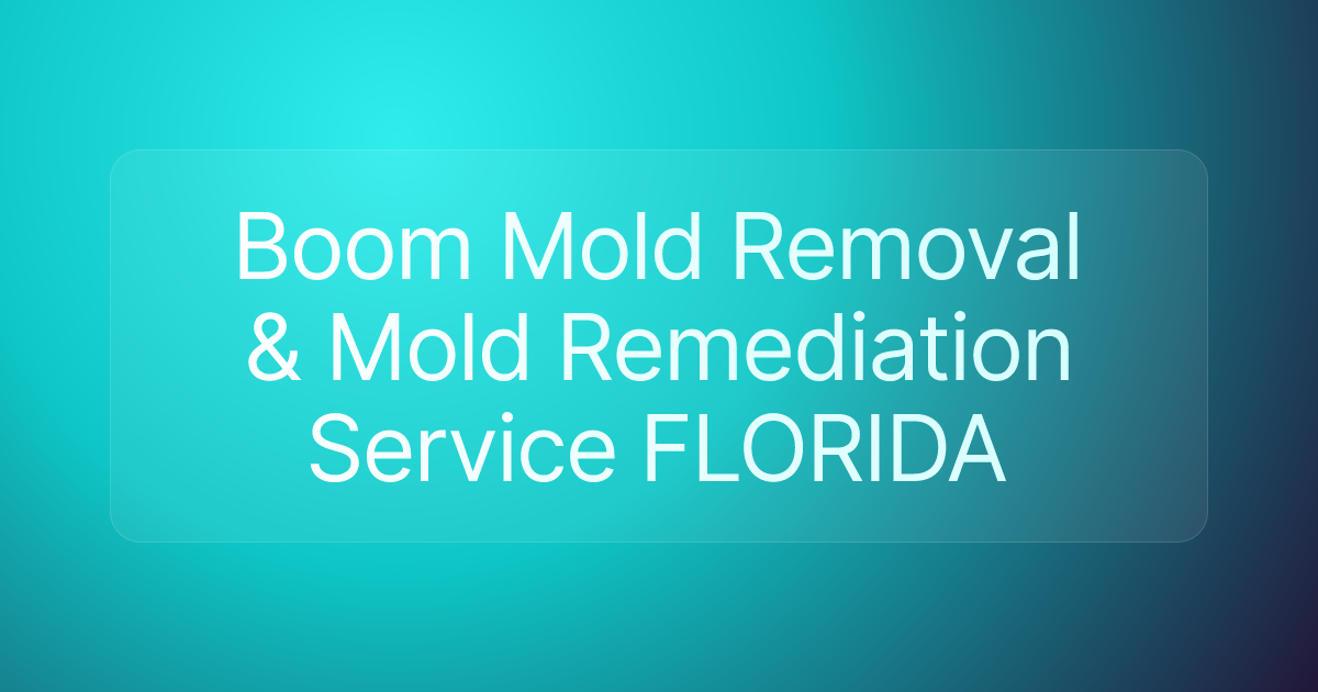 Boom Mold Removal & Mold Remediation Service FLORIDA
