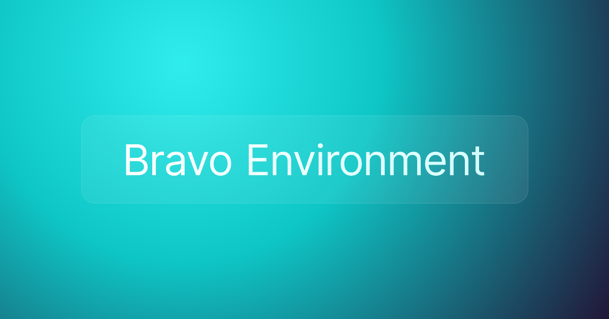 Bravo Environment