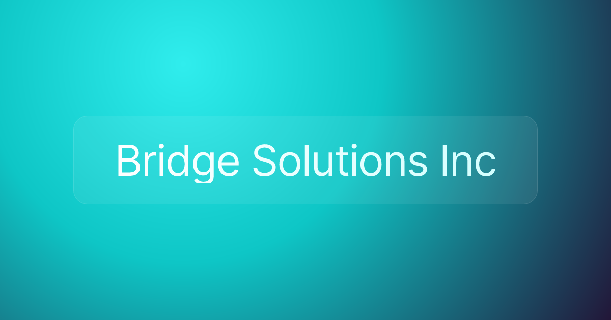 Bridge Solutions Inc