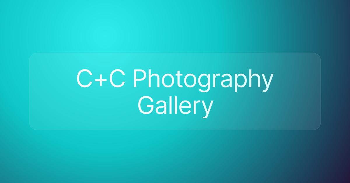 C+C Photography Gallery