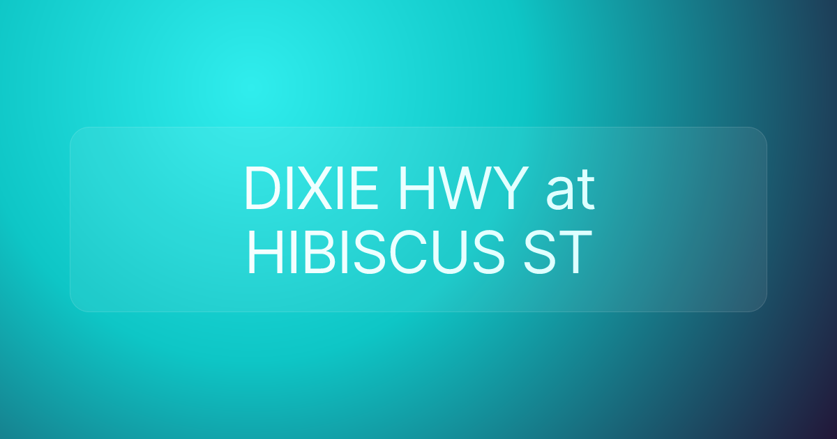 DIXIE HWY at HIBISCUS ST