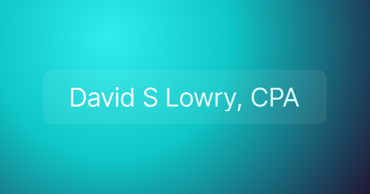 David S Lowry, CPA