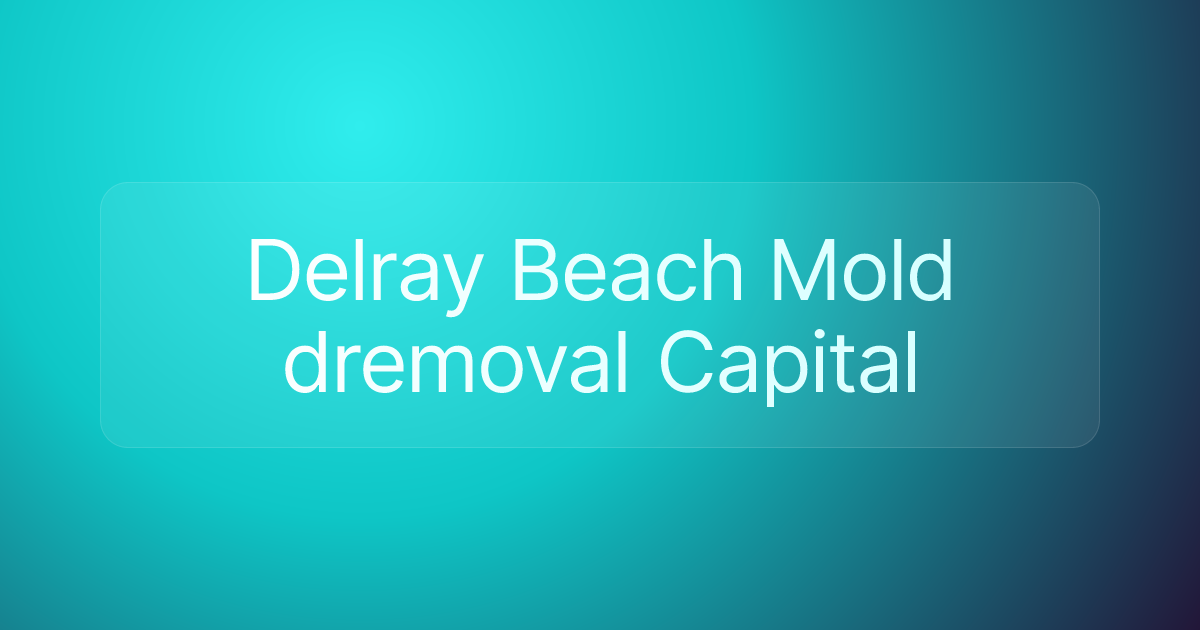 Delray Beach Mold dremoval Capital