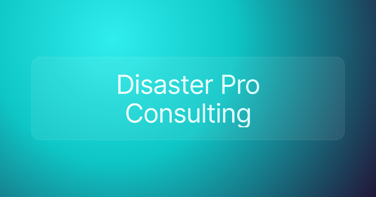 Disaster Pro Consulting
