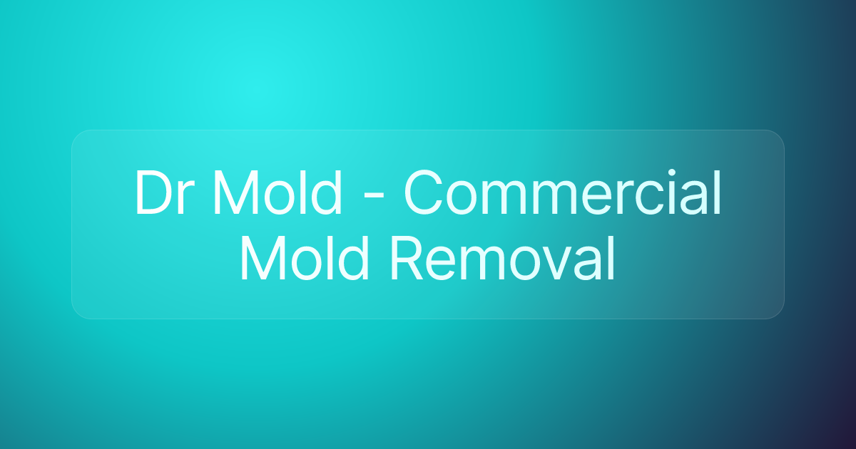 Dr Mold - Commercial Mold Removal