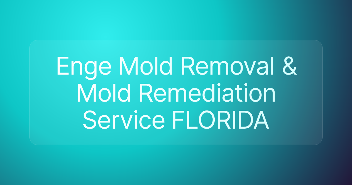 Enge Mold Removal & Mold Remediation Service FLORIDA