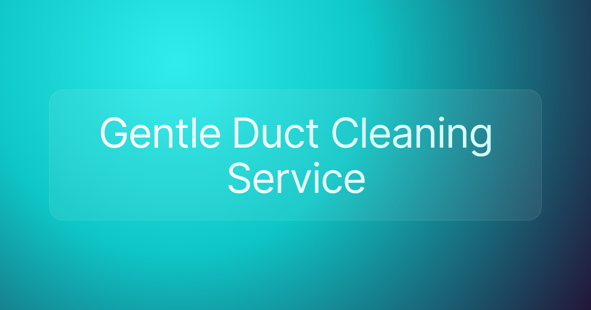 Gentle Duct Cleaning Service