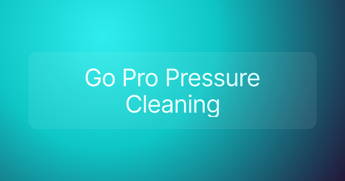 Go Pro Pressure Cleaning