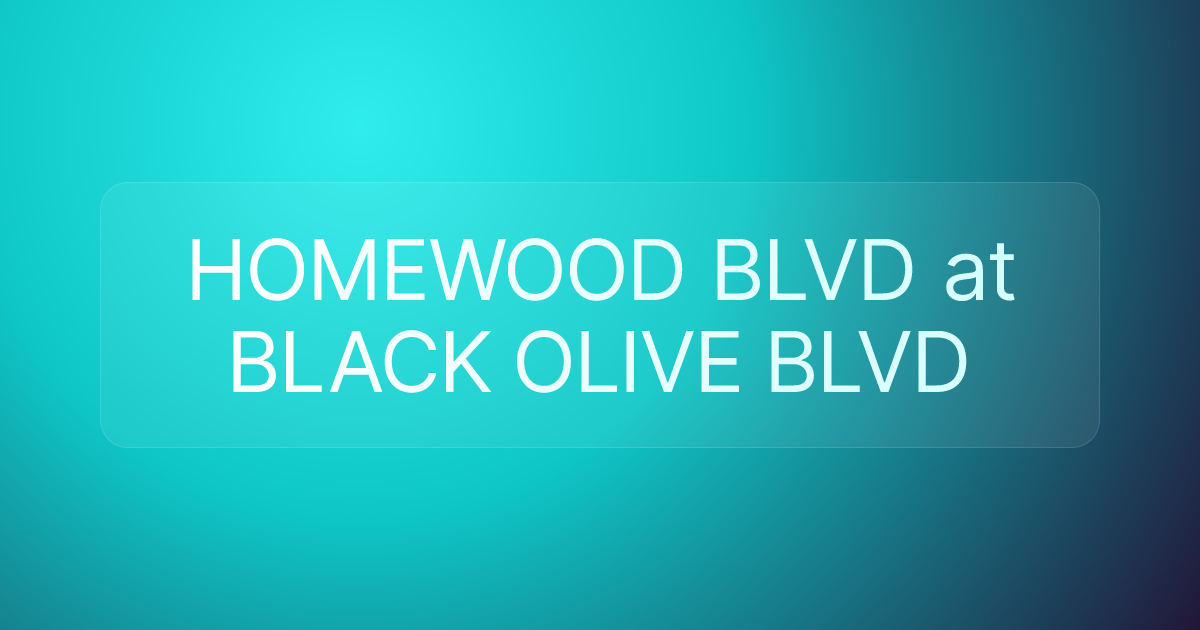HOMEWOOD BLVD at BLACK OLIVE BLVD