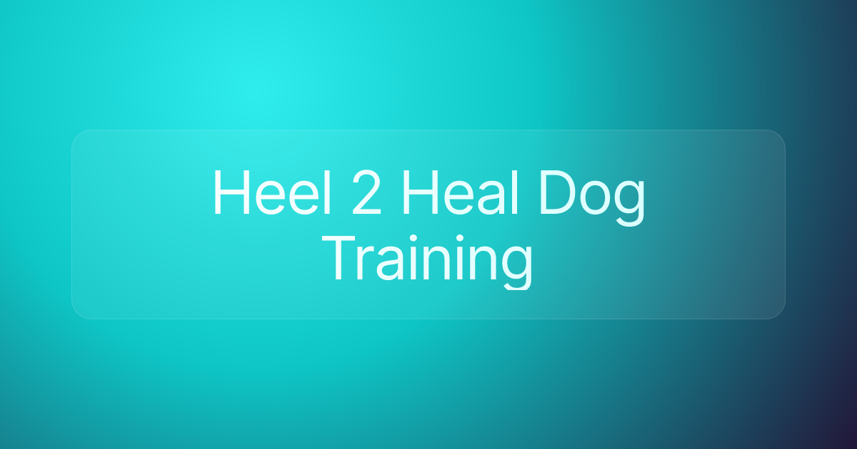 Heel 2 Heal Dog Training