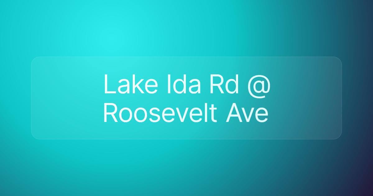 Lake Ida Rd @ Roosevelt Ave