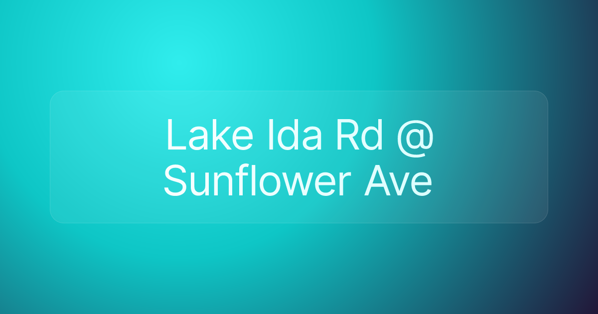 Lake Ida Rd @ Sunflower Ave
