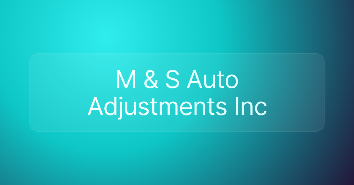 M & S Auto Adjustments Inc