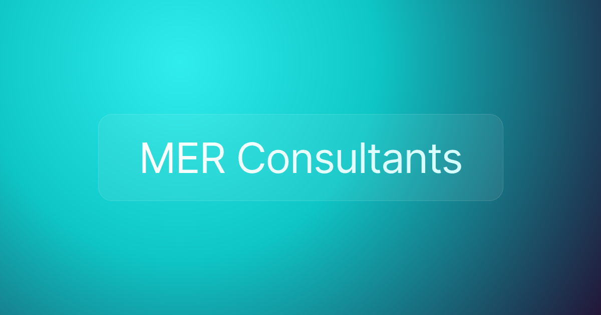 MER Consultants