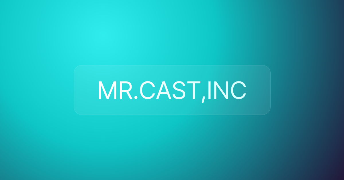 MR.CAST,INC