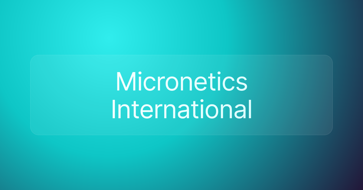 Micronetics International