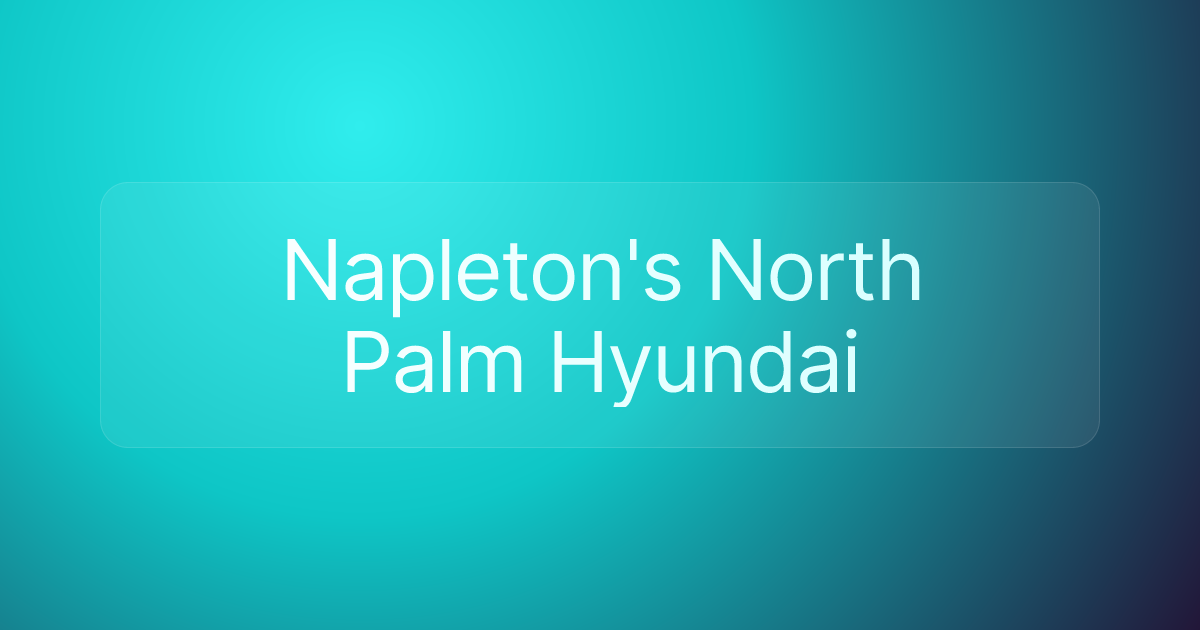 Napleton's North Palm Hyundai