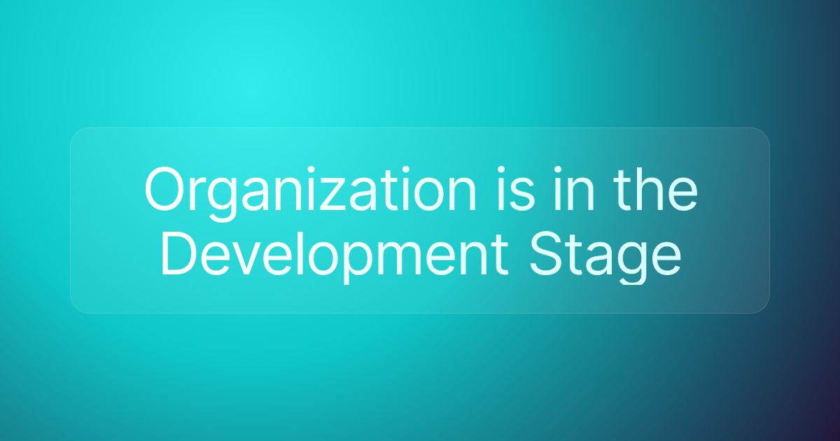 Organization is in the Development Stage