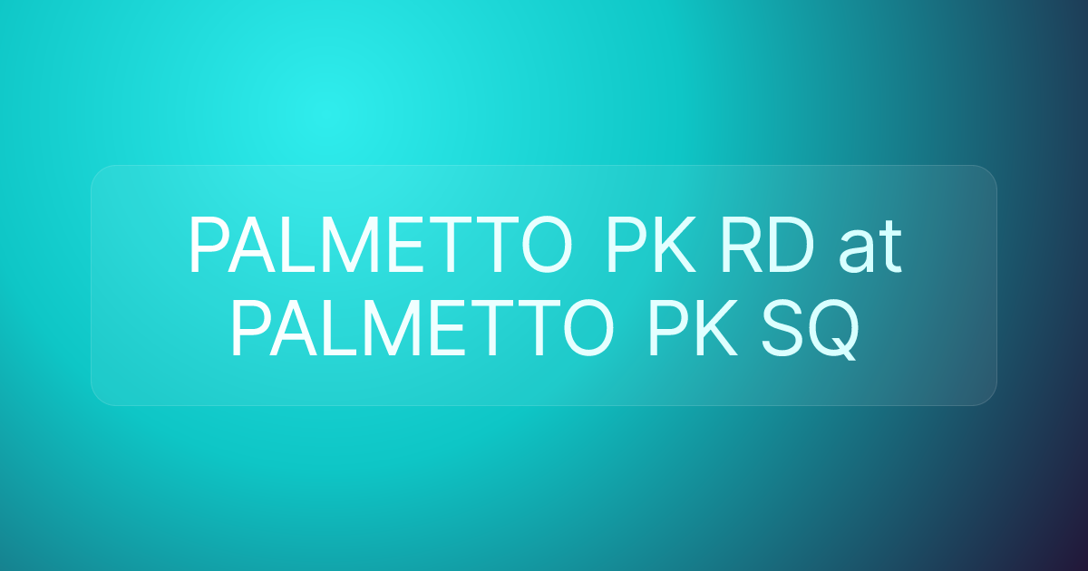 PALMETTO PK RD at PALMETTO PK SQ