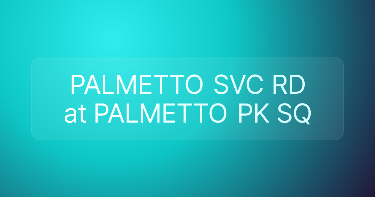 PALMETTO SVC RD at PALMETTO PK SQ