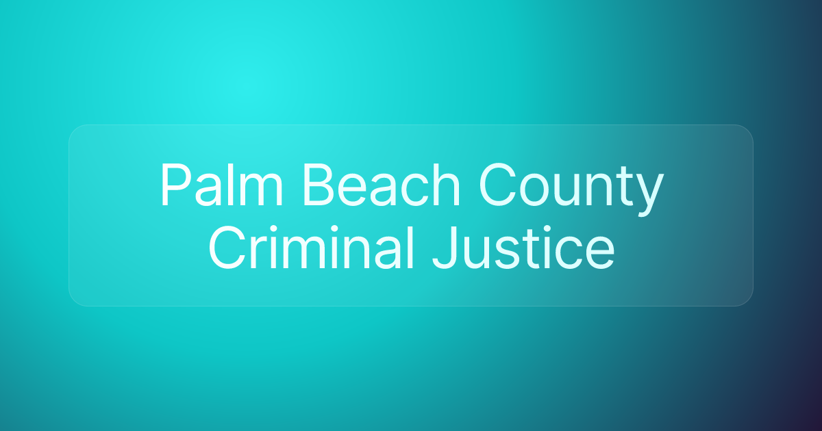 Palm Beach County Criminal Justice