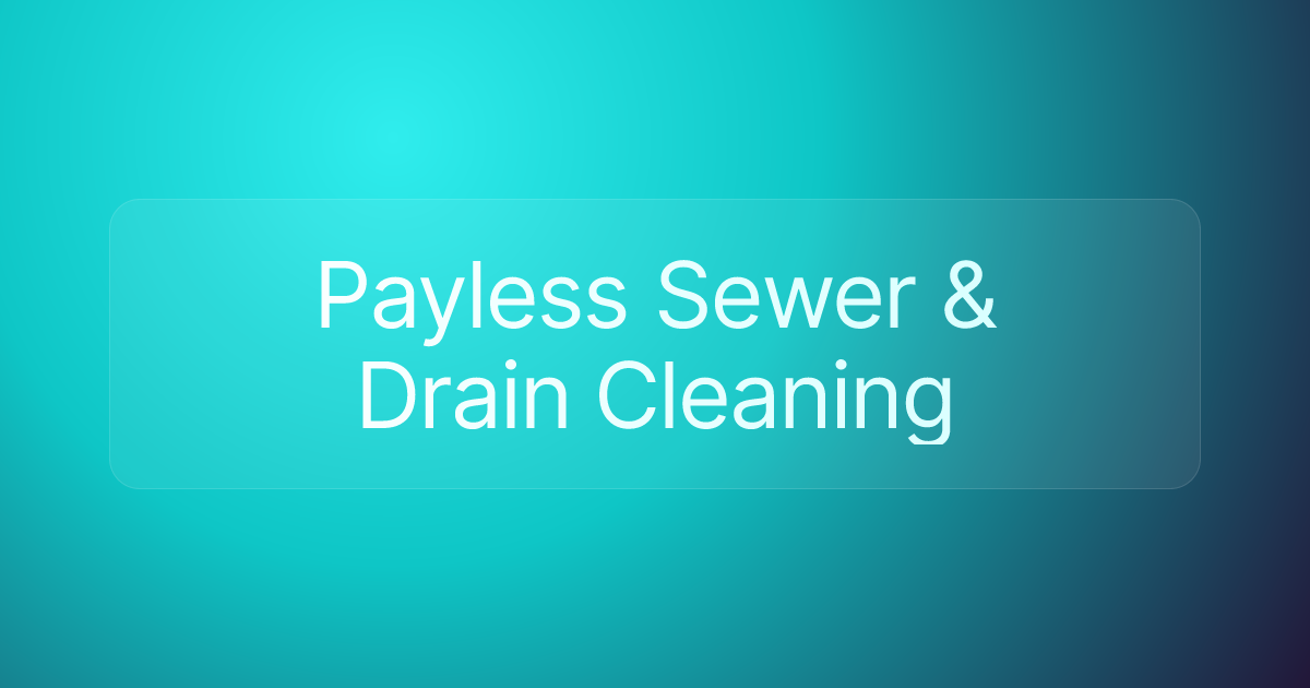 Payless Sewer & Drain Cleaning