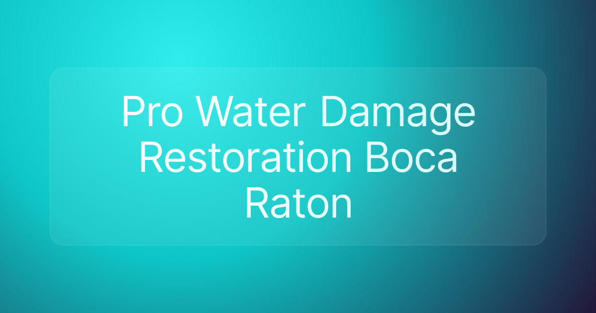 Pro Water Damage Restoration Boca Raton