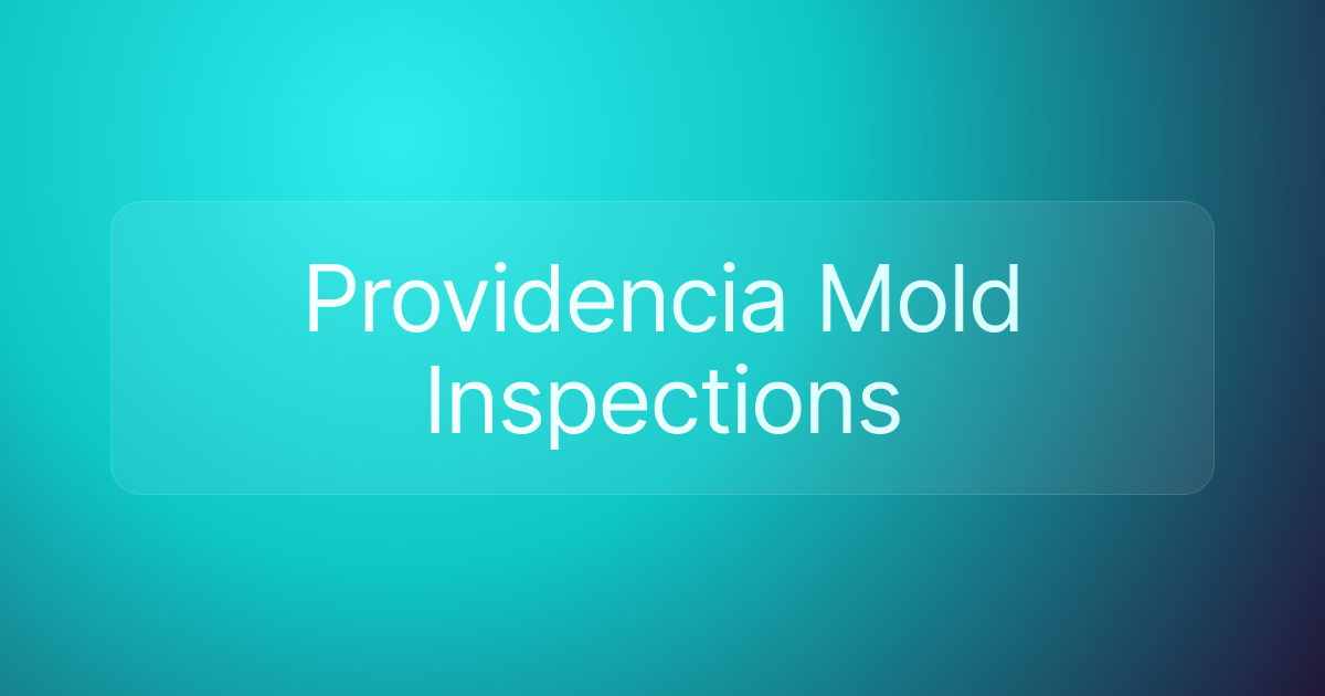 Providencia Mold Inspections