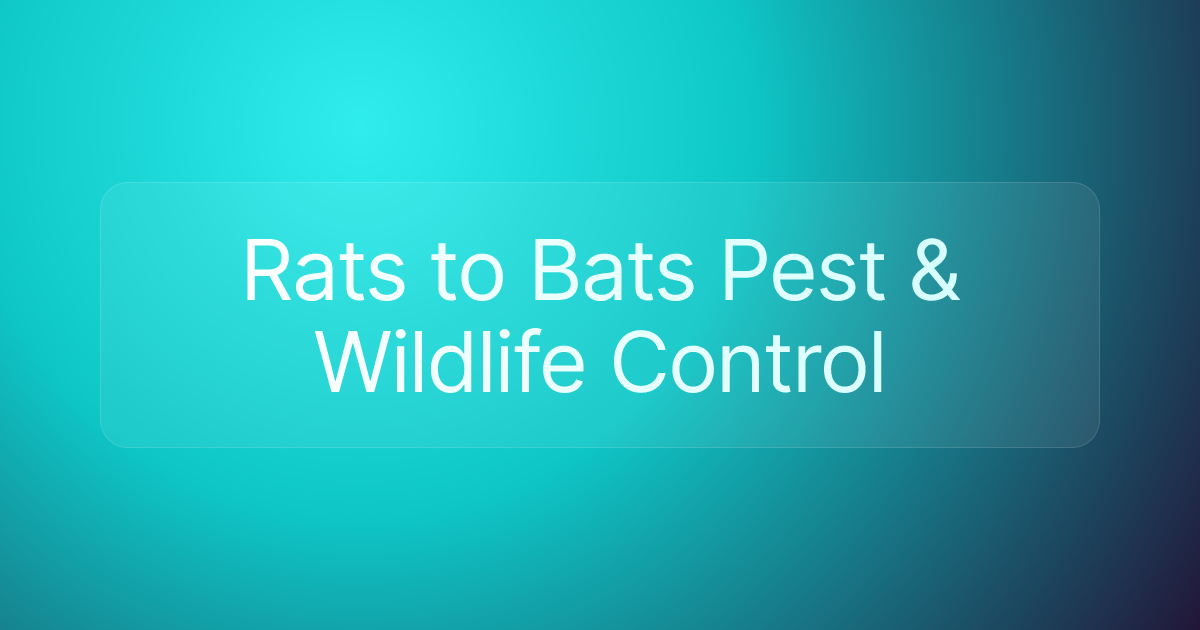 Rats to Bats Pest & Wildlife Control