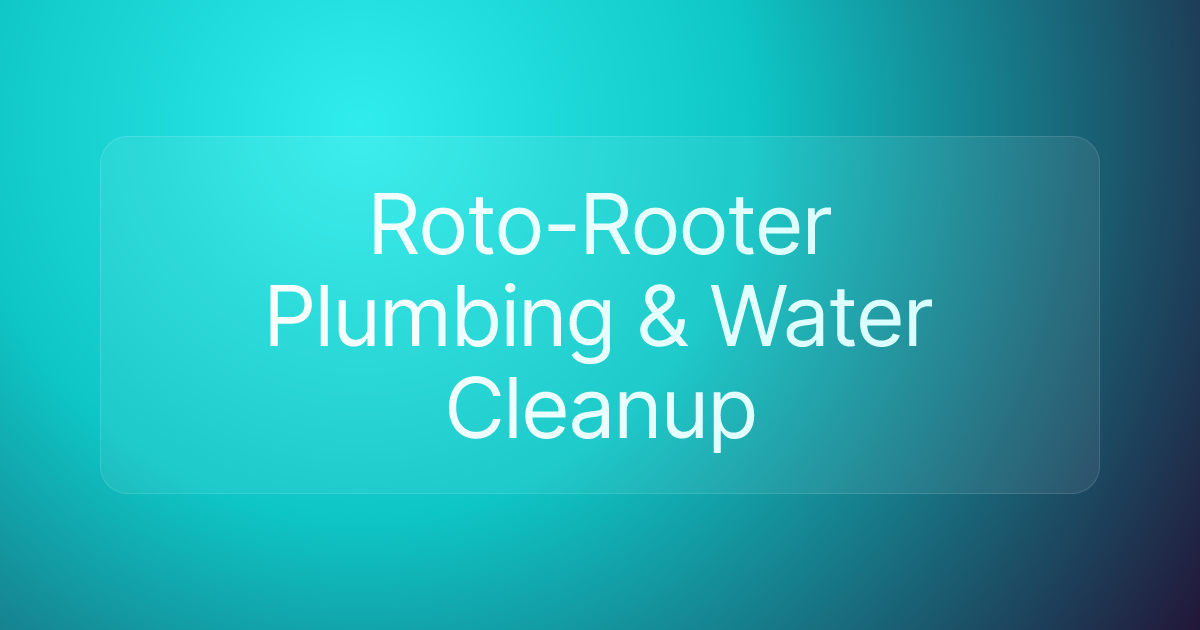 Roto-Rooter Plumbing & Water Cleanup
