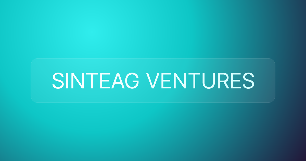 SINTEAG VENTURES