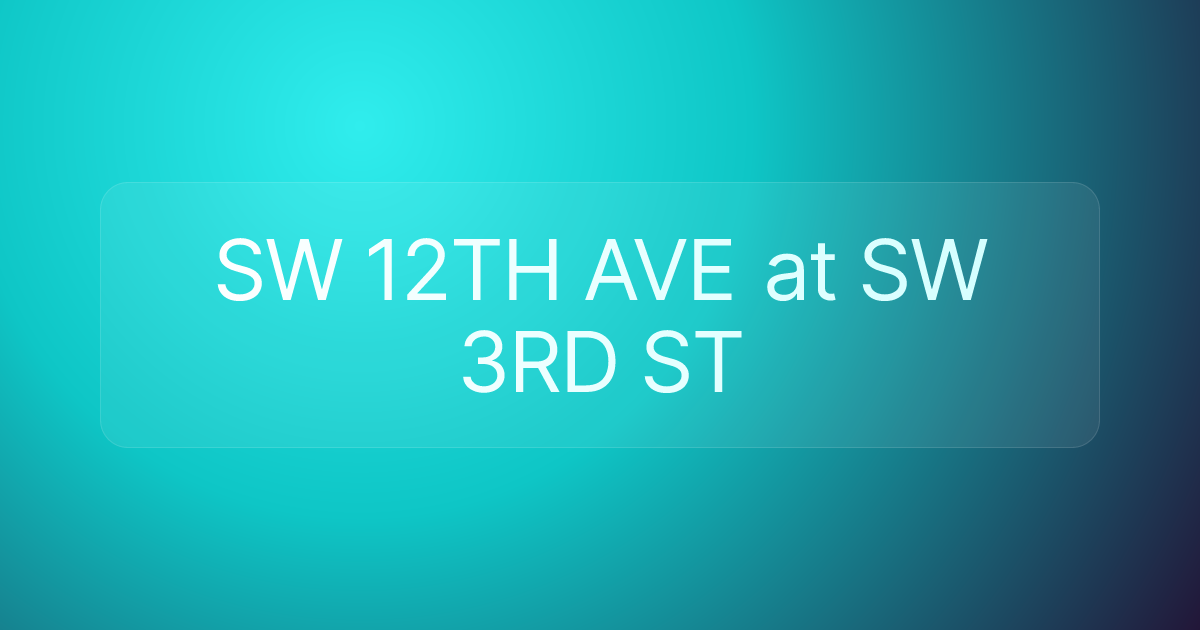 SW 12TH AVE at SW 3RD ST