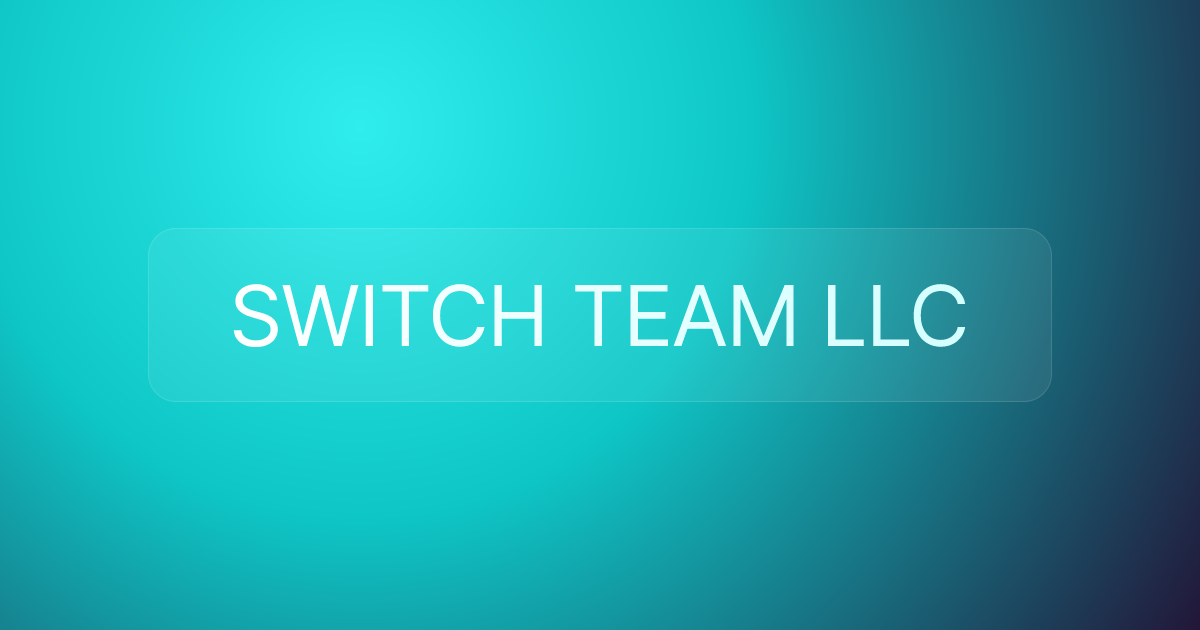 SWITCH TEAM LLC