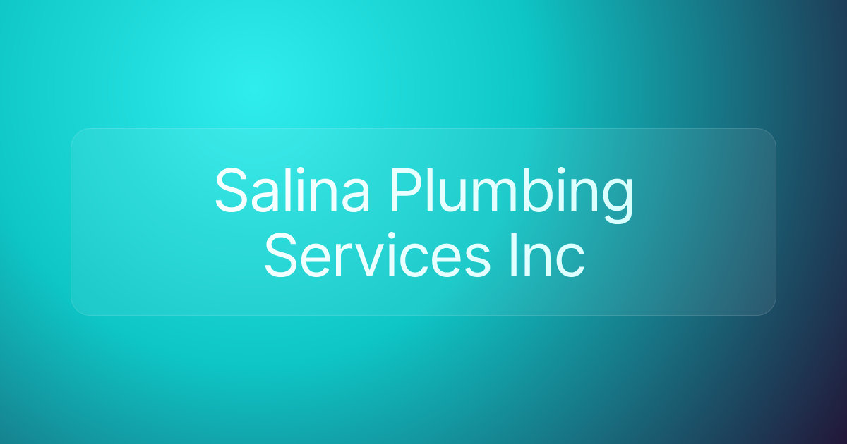 Salina Plumbing Services Inc