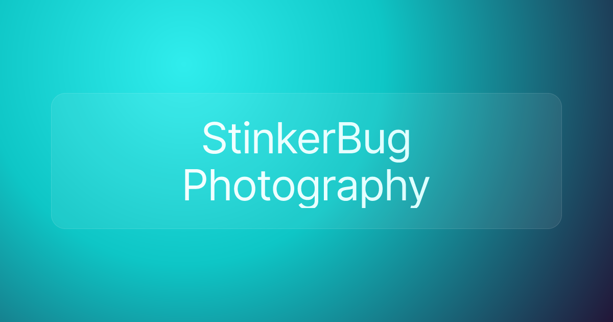 StinkerBug Photography