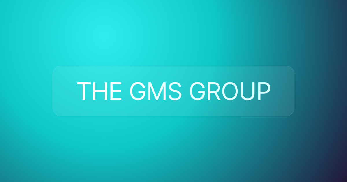 THE GMS GROUP