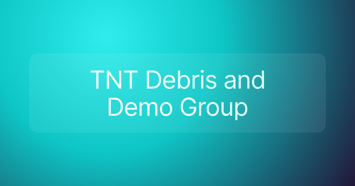 TNT Debris and Demo Group